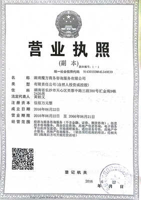 湖南魔方商務咨詢服務 專業銷售與技術咨詢的完美融合